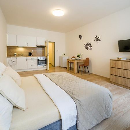 Apartia Vlhka 26, Brno-Center Εξωτερικό φωτογραφία