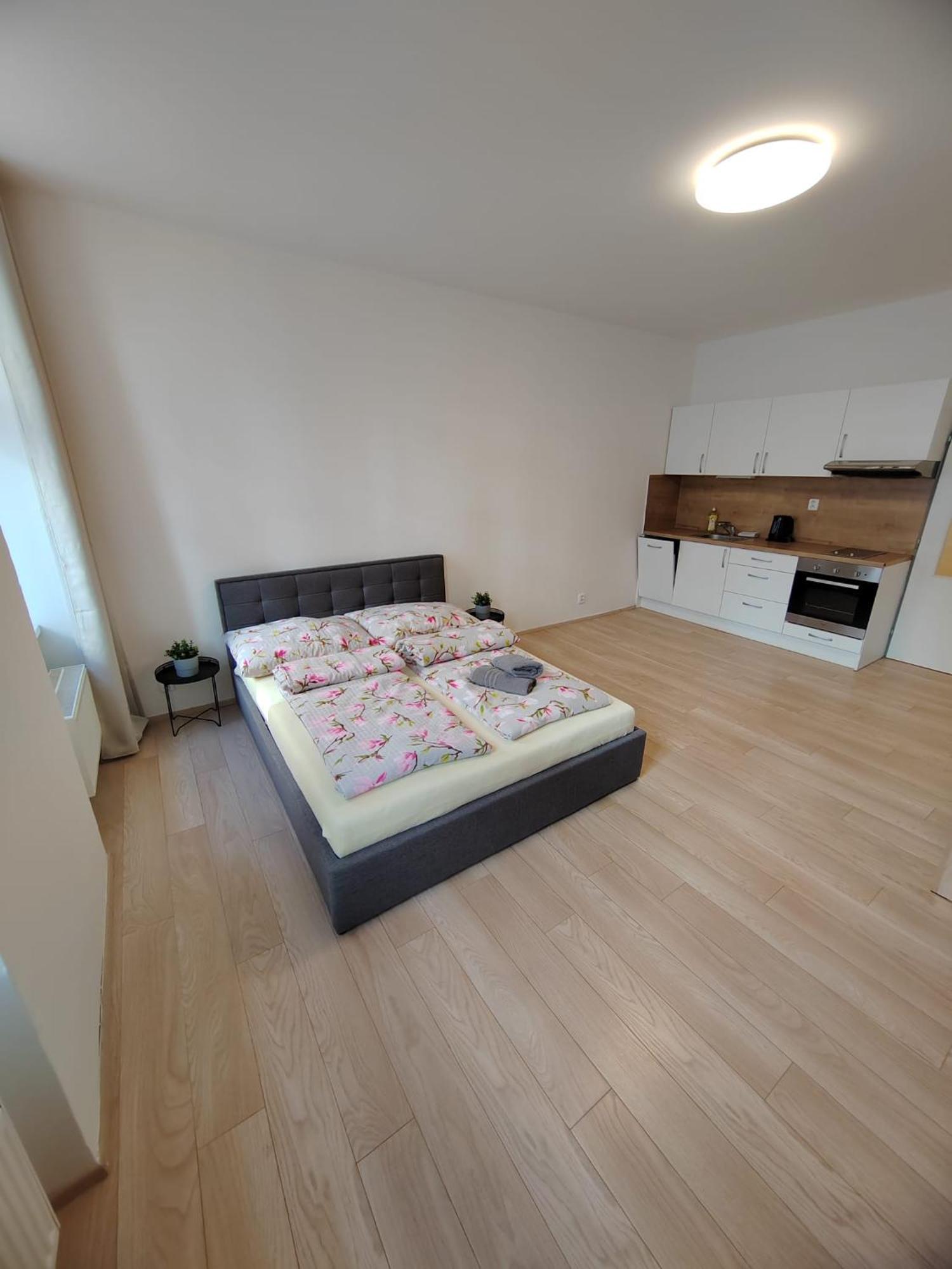 Apartia Vlhka 26, Brno-Center Εξωτερικό φωτογραφία