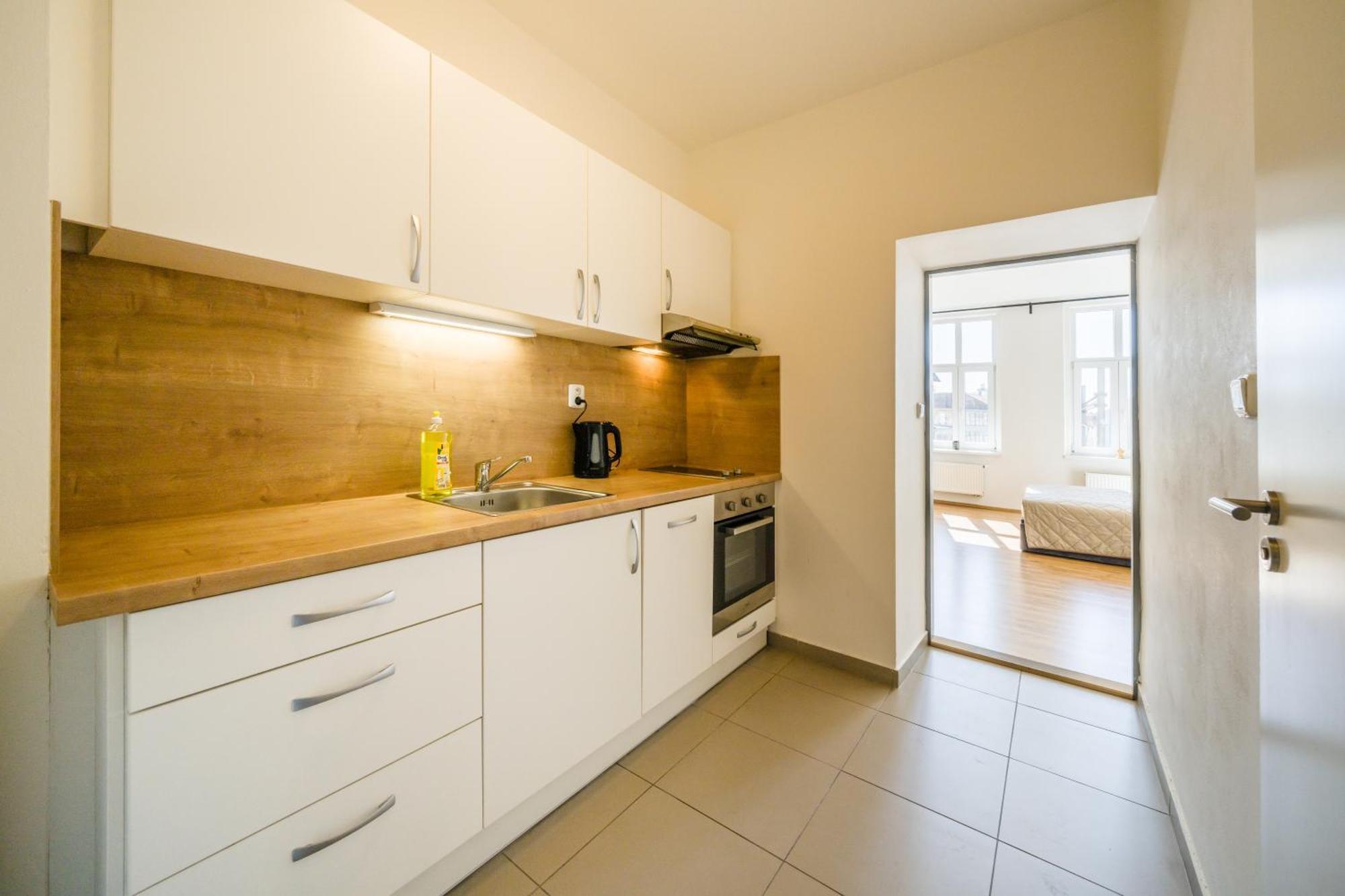 Apartia Vlhka 26, Brno-Center Εξωτερικό φωτογραφία